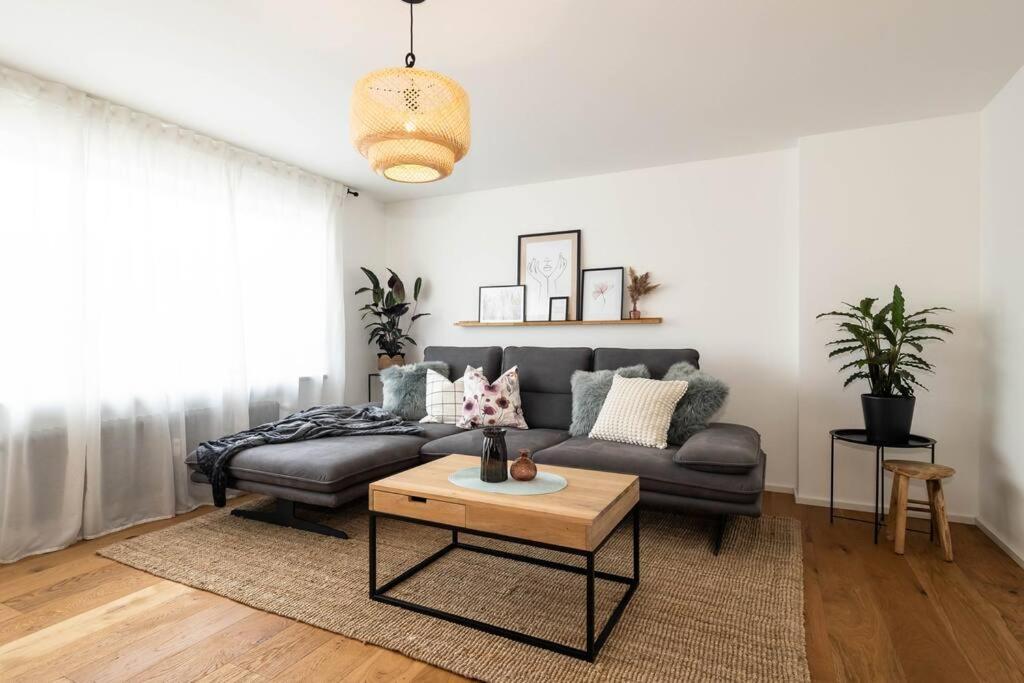 Luxury Apartment On The Rhein Busingen am Hochrhein Ngoại thất bức ảnh