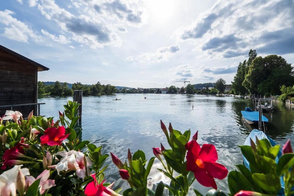 Luxury Apartment On The Rhein Busingen am Hochrhein Ngoại thất bức ảnh
