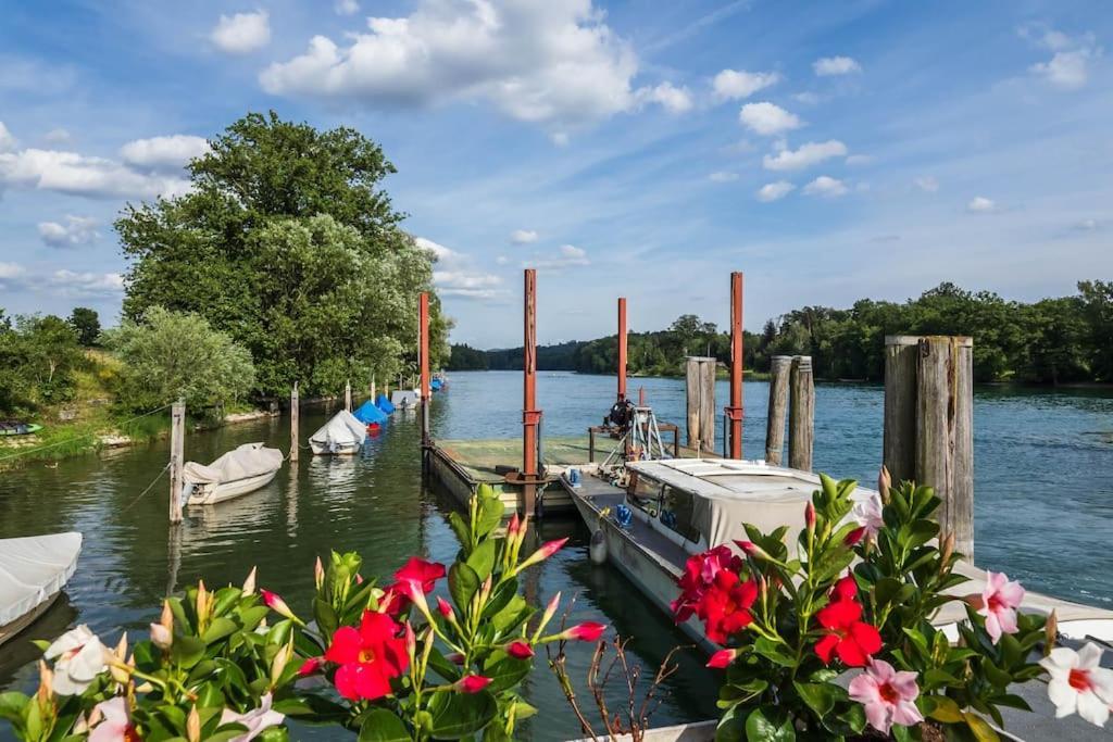 Luxury Apartment On The Rhein Busingen am Hochrhein Ngoại thất bức ảnh