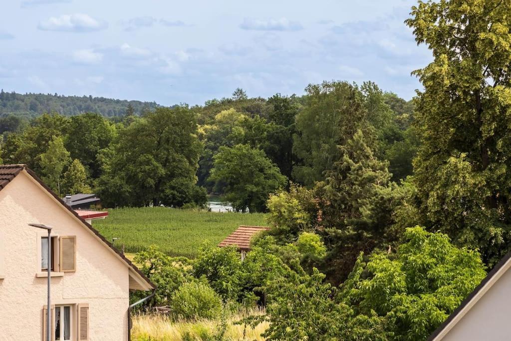 Luxury Apartment On The Rhein Busingen am Hochrhein Ngoại thất bức ảnh