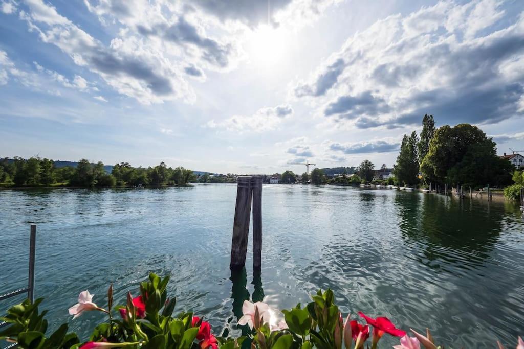 Luxury Apartment On The Rhein Busingen am Hochrhein Ngoại thất bức ảnh