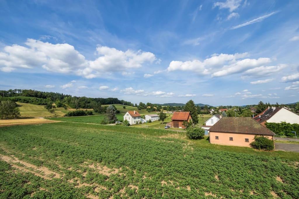 Luxury Apartment On The Rhein Busingen am Hochrhein Ngoại thất bức ảnh